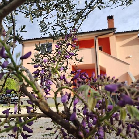 Apartman Tramonto Motovun Dış mekan fotoğraf