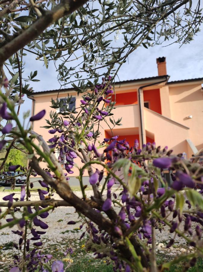 Apartman Tramonto Motovun Dış mekan fotoğraf
