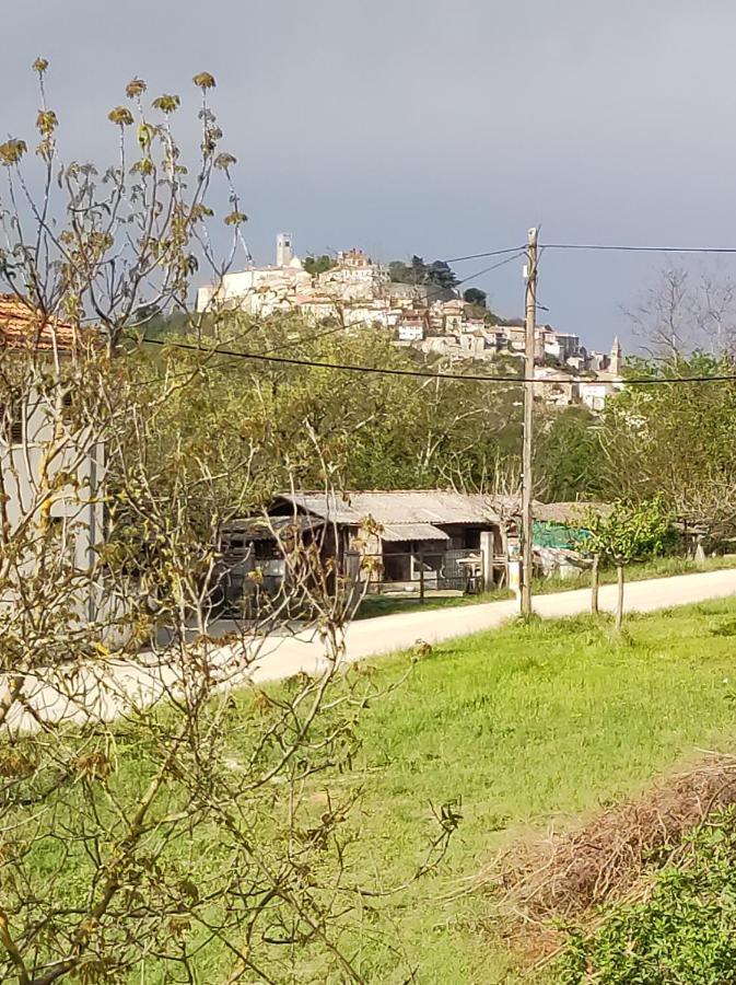 Apartman Tramonto Motovun Dış mekan fotoğraf