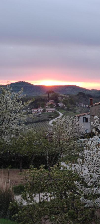 Apartman Tramonto Motovun Dış mekan fotoğraf